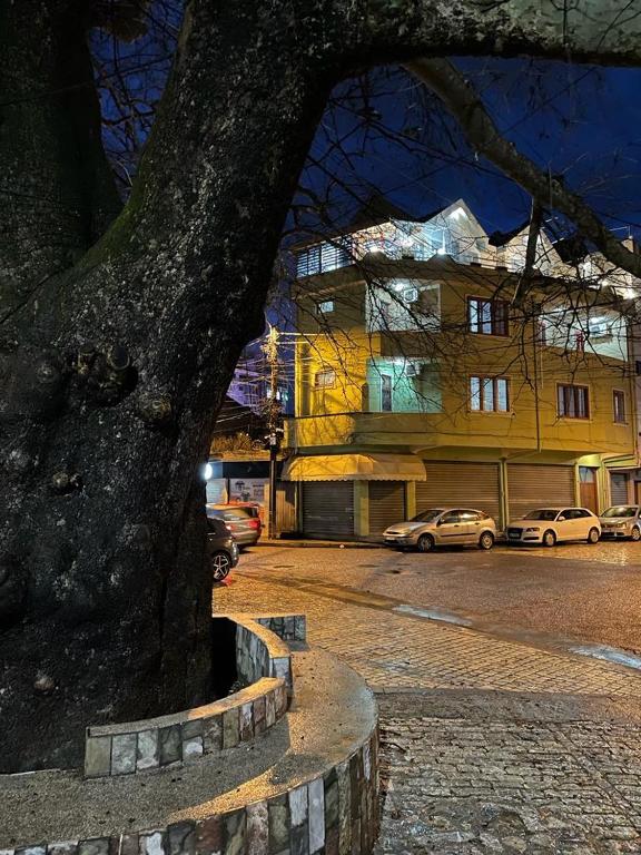 Maison Centre - Imazhi 6