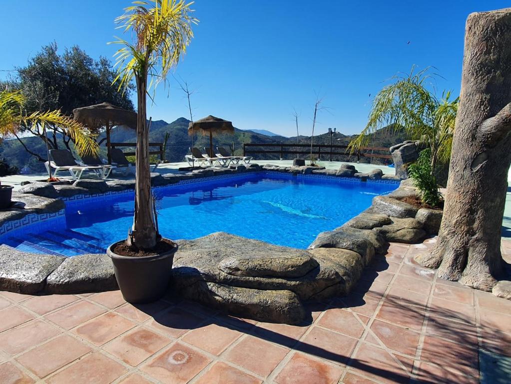 een zwembad met een palmboom in een resort bij El desafío de las Águilas in Almogía