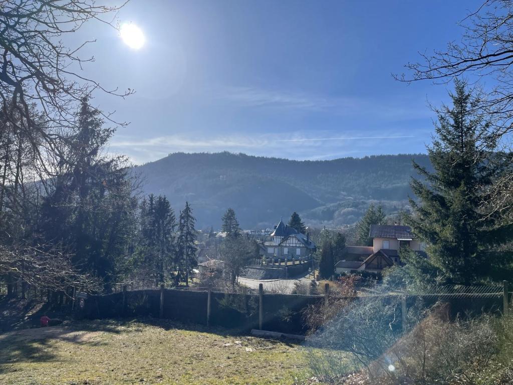 Le Manoir des Sens - Forêt de Bergheim – photo 48