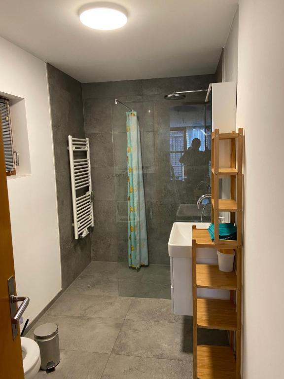 Koupelna v ubytování Haus Elke