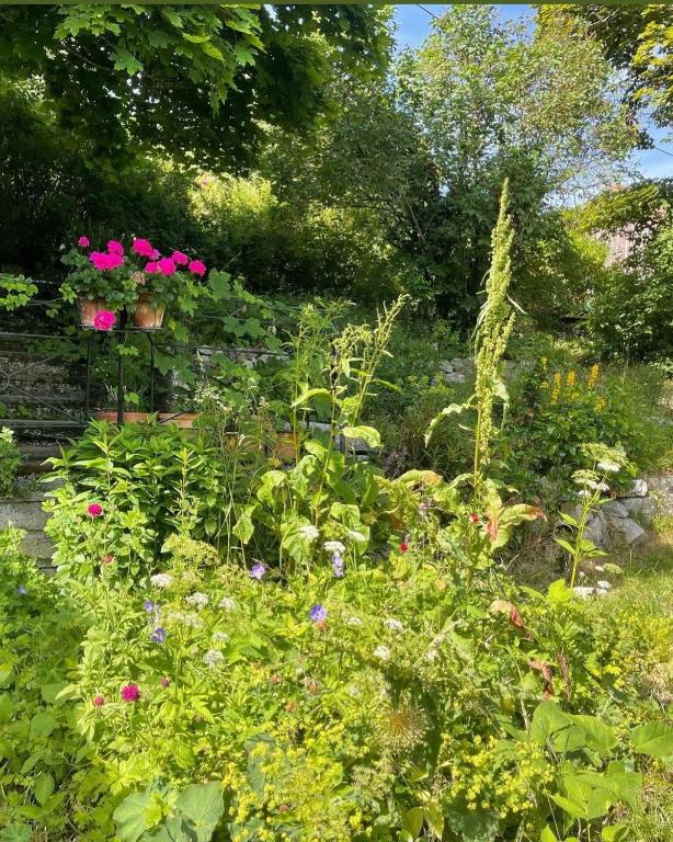 Gîte au Manoir des Sens avec bain nordique jacuzzi sur terrasse privée – photo 15