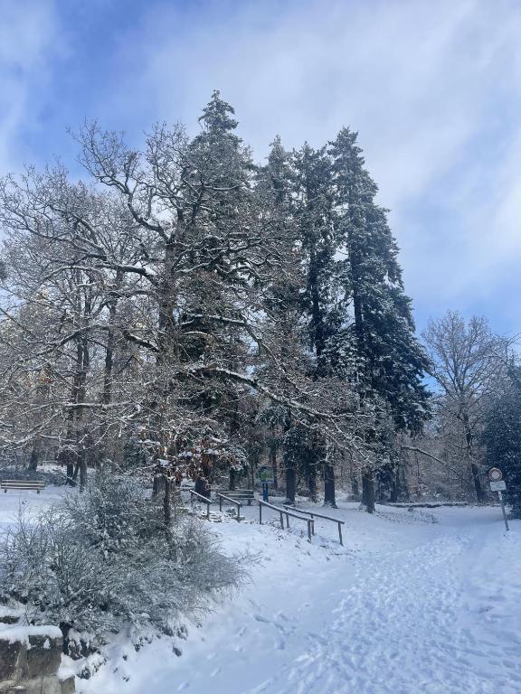 Le Manoir des Sens - Forêt de Bergheim – photo 44