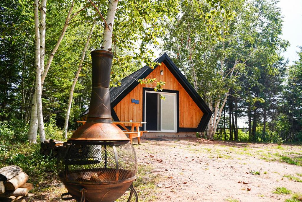 Zahrada ubytování Wild Pines Cabins