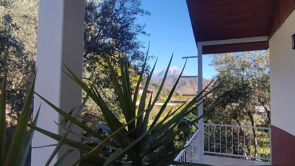 Fotografie z fotogalerie ubytování Cemils Guest House v destinaci Çıralı