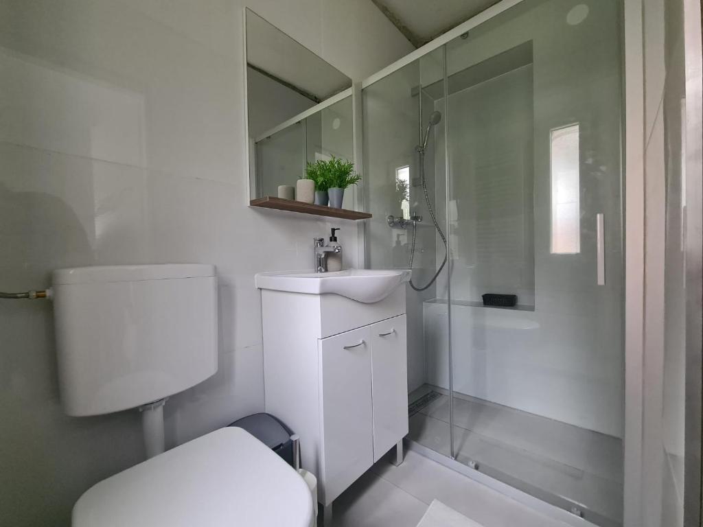 House Delboy with garage, Črnomerec - 14