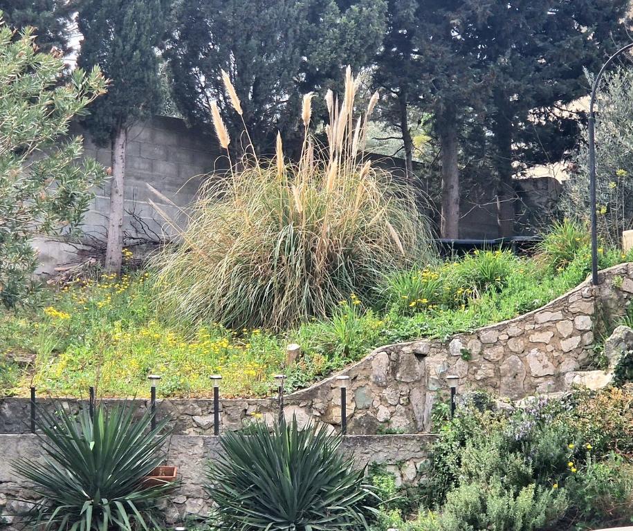 Vonkajšia záhrada v ubytovaní Chalet Marseille hauteur