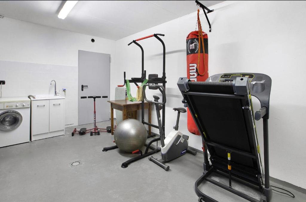 Fitness centrum a/nebo fitness zařízení v ubytování Olympic Chalet