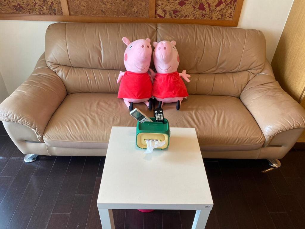 Posezení v ubytování 旗溫泉民宿