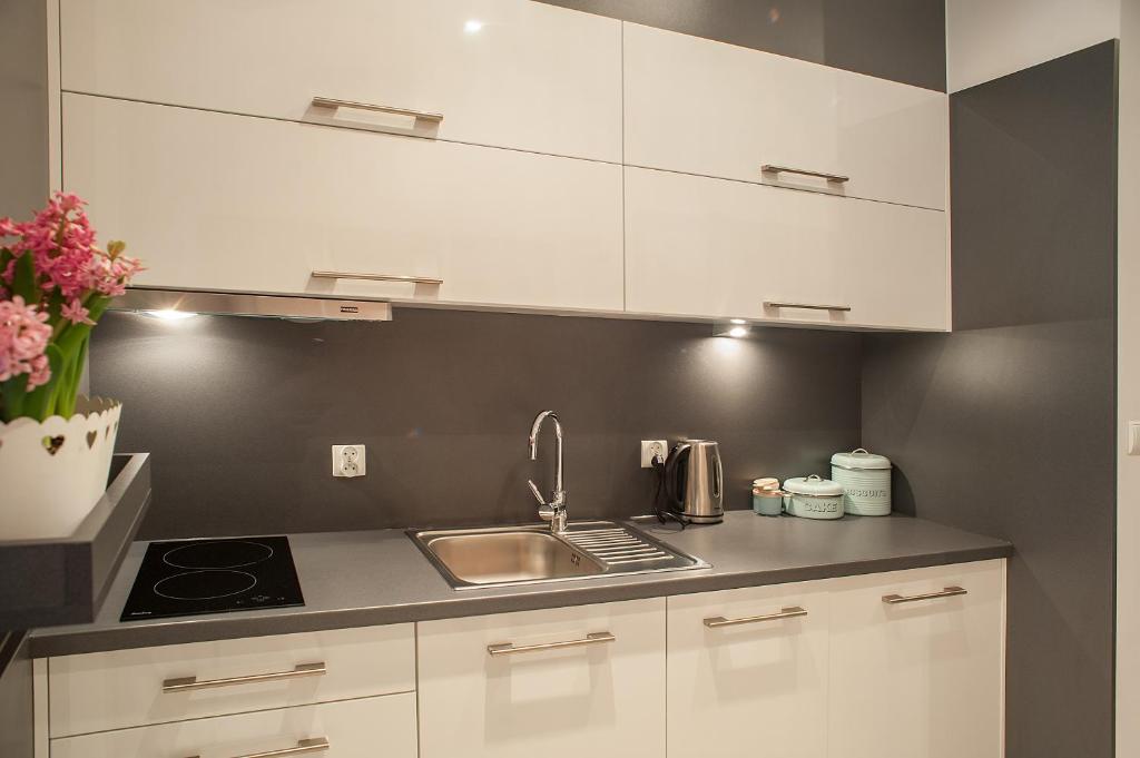 Kuchyň nebo kuchyňský kout v ubytování Apartamenty Czerwone Maki Wisła