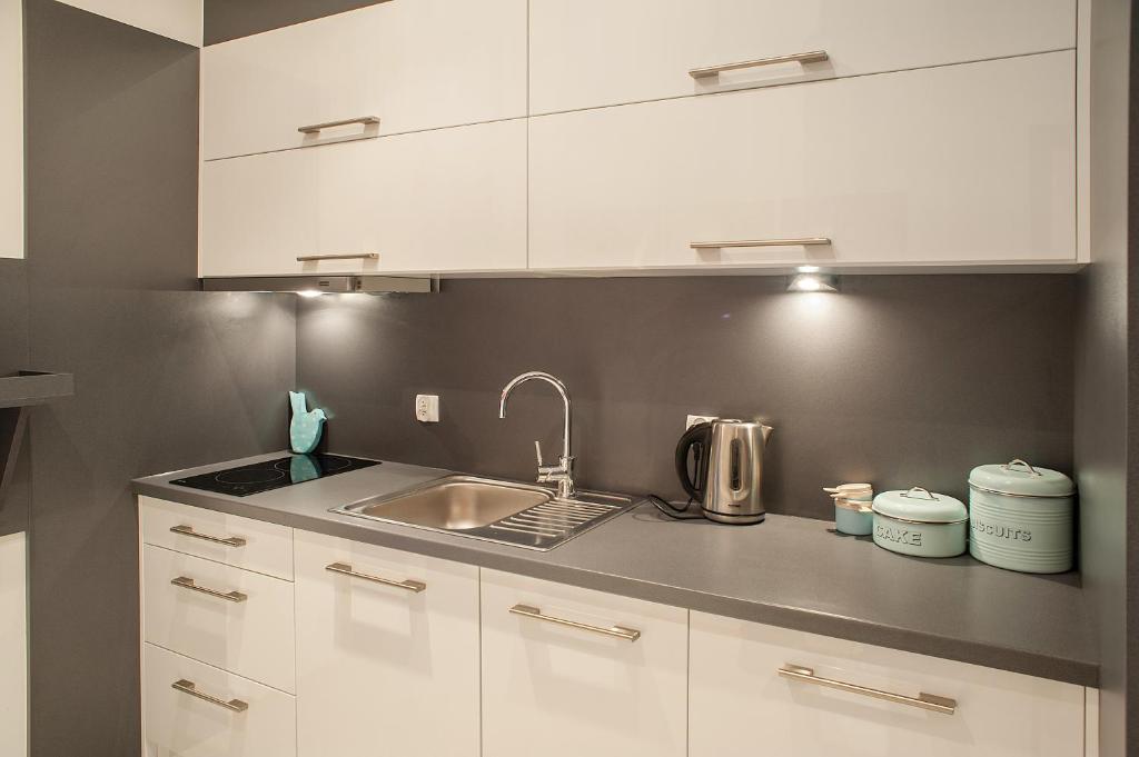 Kuchyň nebo kuchyňský kout v ubytování Apartamenty Czerwone Maki Wisła
