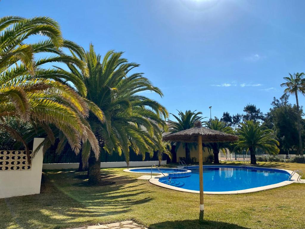 a swimming pool with a umbrella and palm trees at Caleta Vyb in Denia