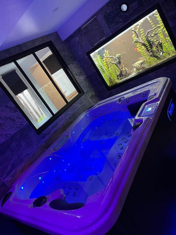 Fotografia z galérie ubytovania Nuit de la sagesse "jacuzzi terrasse et parking privé" v destinácii Rouen