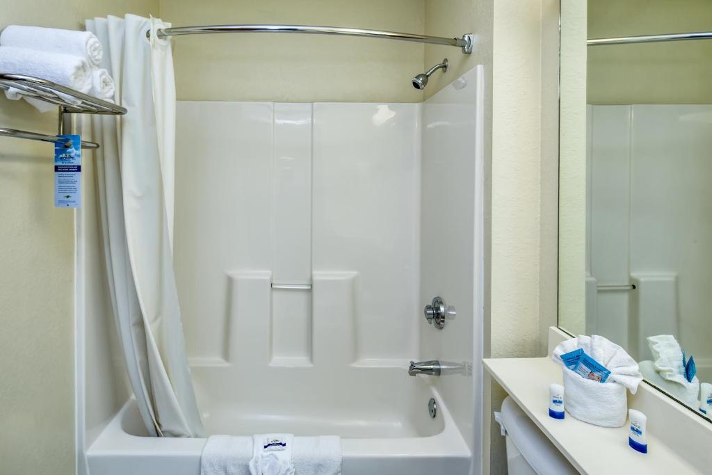 Microtel Inn & Suites Leesburg - Habitación Con Cama Grande - No Fumadores