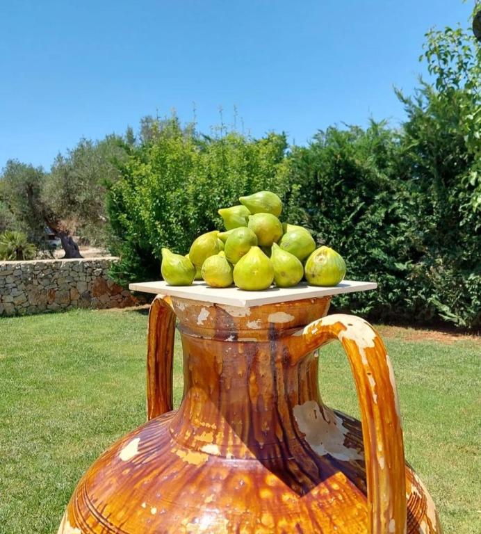 Fotografie z fotogalerie ubytování A CASA DI GIUSEPPE v destinaci Sant'Isidoro
