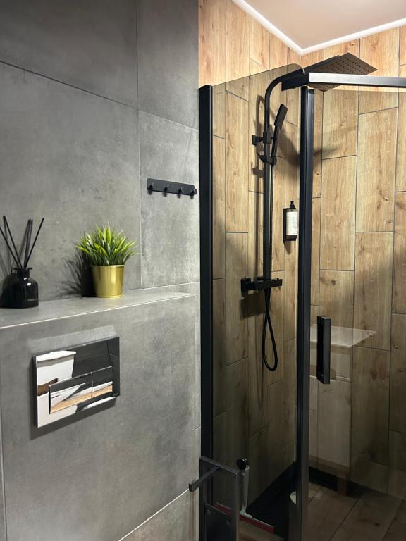 Ένα μπάνιο στο Lux Apart - Apartamenty z jacuzzi i sauną nad Wisłą