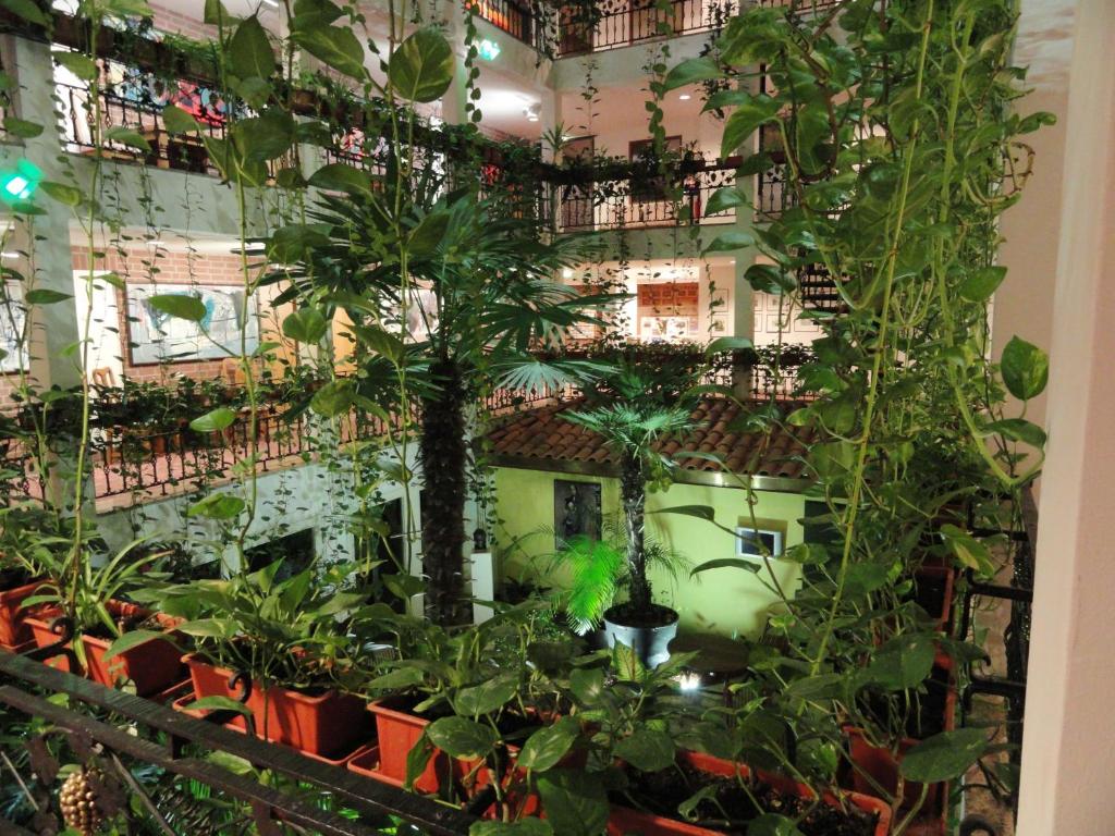 Zahrada ubytování Solitaire Hotel