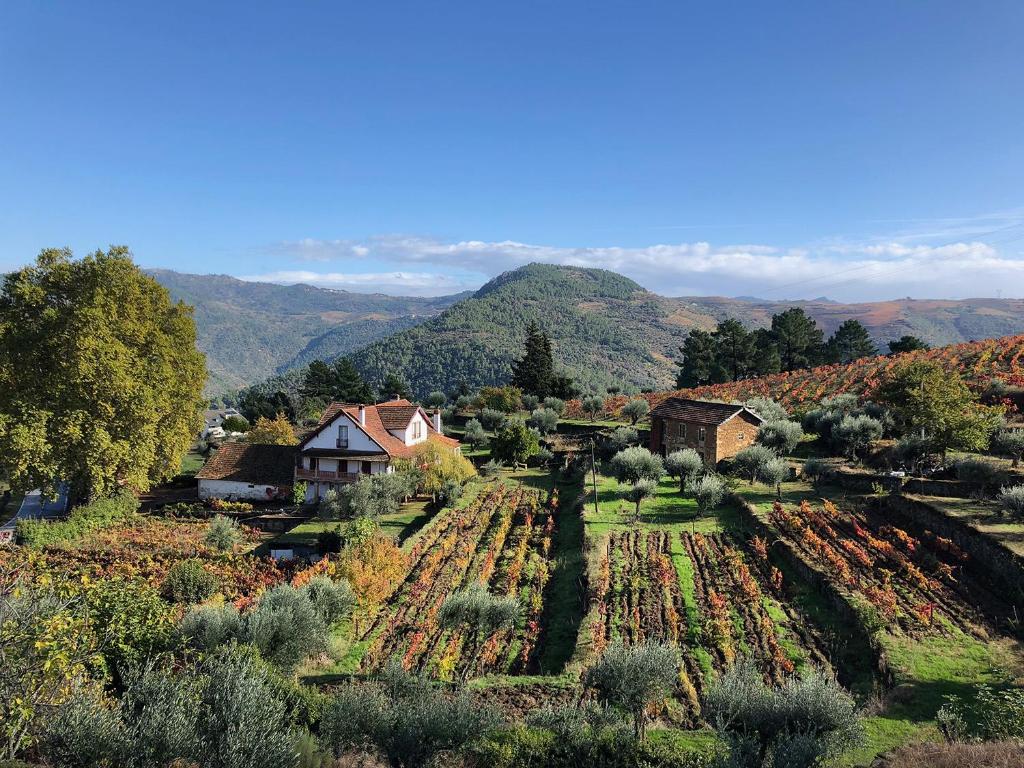 a farm in a valley with mountains in the background at Quinta Vila Rachel - Winery in São Mamede de Riba Tua