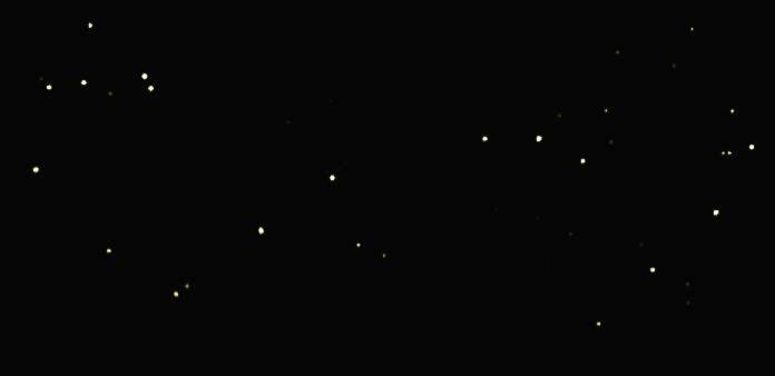 un cielo nocturno lleno de estrellas en Apadi camp, en Coraya Bay