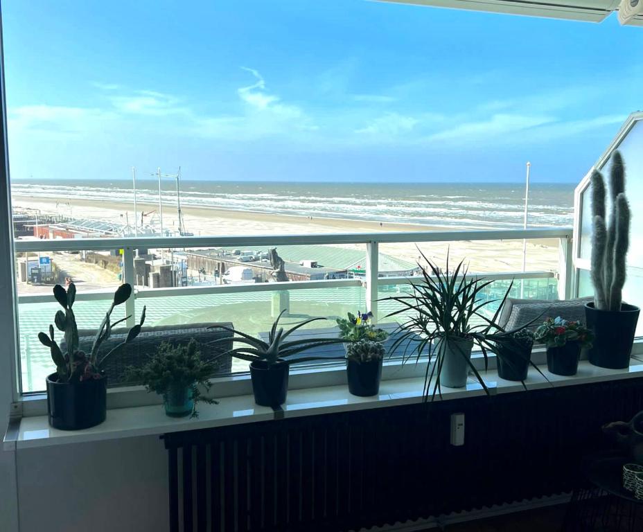 a window with potted plants on a ledge with a beach at Apartment Fleurette in Zandvoort