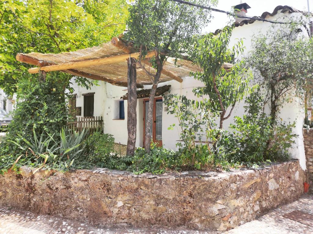 Vonkajšia záhrada v ubytovaní CASITA ESPERANZA