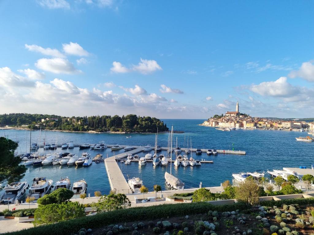 a view of a marina with boats in the water at Apartment Maestral in Rovinj