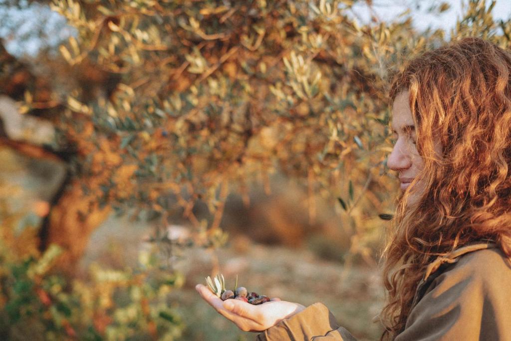 Hosté ubytování Slowness - Kibbutz Moran