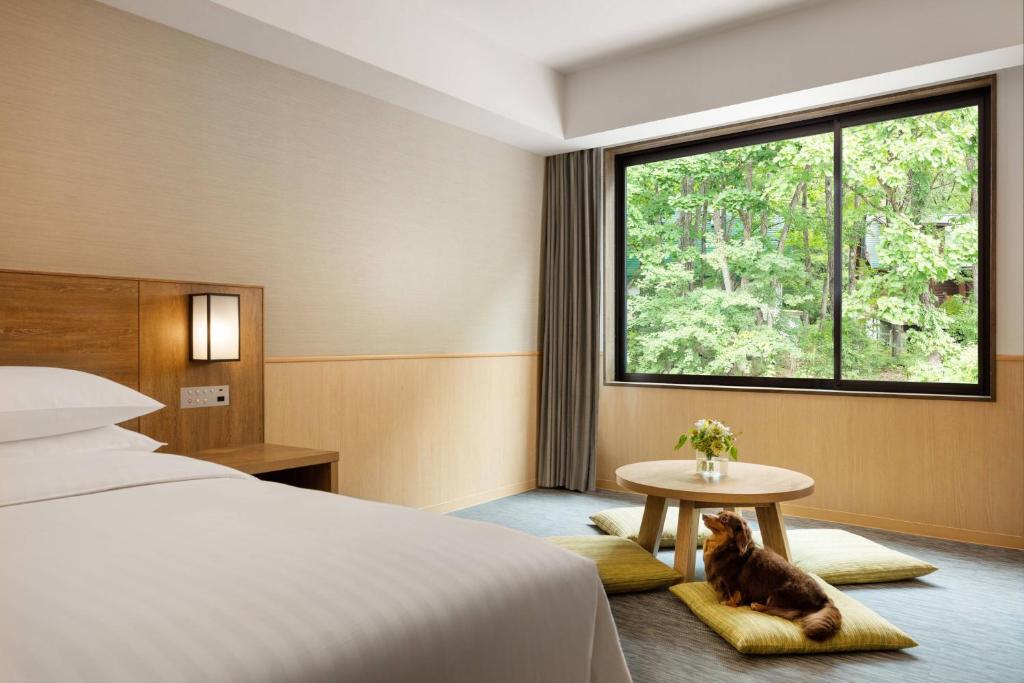 Courtyard by Marriott Hakuba - King Guest Room - Dog Friendly