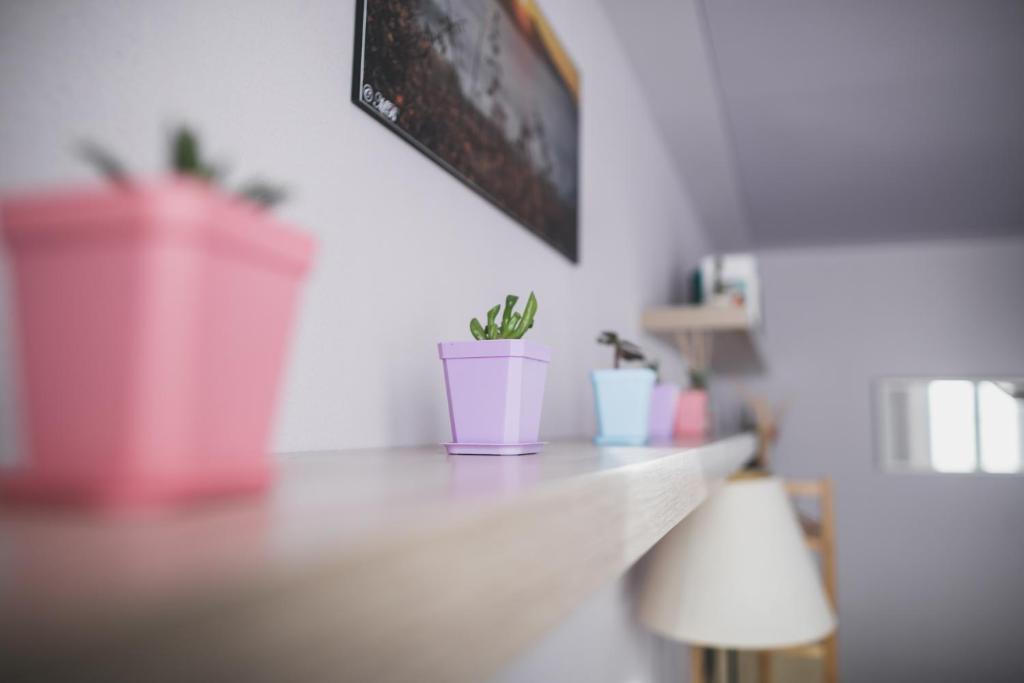 TV a/nebo společenská místnost v ubytování B&B LA MIMOSA E IL GELSOMINO