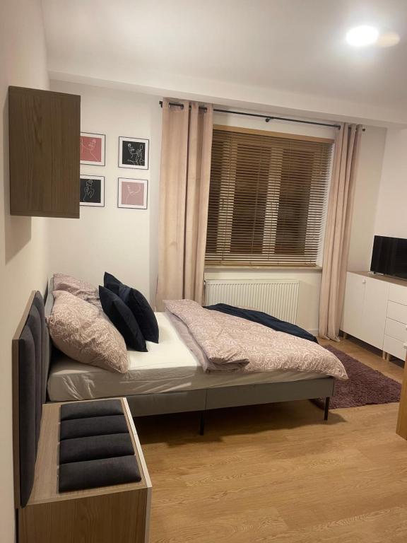 Ce lit se trouve dans un dortoir doté d'une fenêtre et d'une sidx. dans l'établissement MW 5A Apartament, à Rzeszów