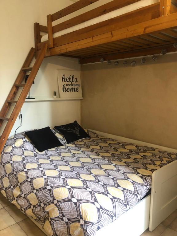 une chambre avec un lit superposé avec une échelle dans l'établissement Studio Saint merry Fontainebleau, à Fontainebleau