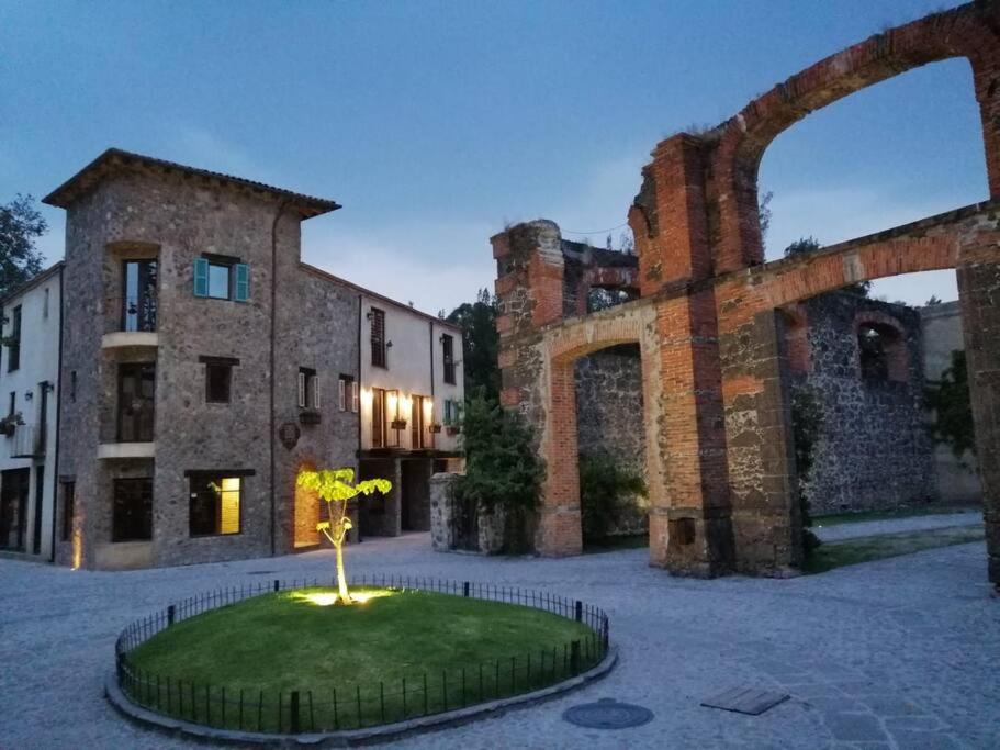 a building with a tree in the middle of a courtyard at Departamento Lux En Val’Quirico Loft Frontana in Tlaxcala de Xicohténcatl