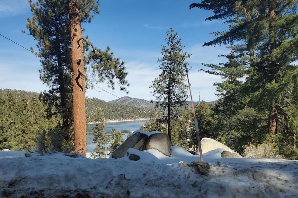 Cozy Moon Cabin photo