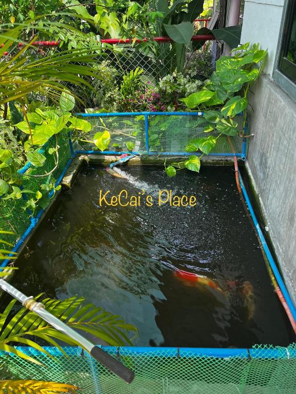 Fotografie z fotogalerie ubytování KeCai’s Place v destinaci Digos