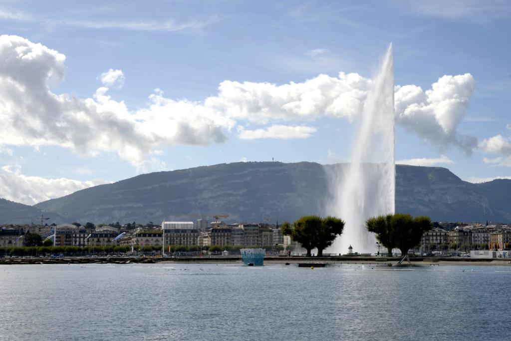 The New Midi - Resim 38