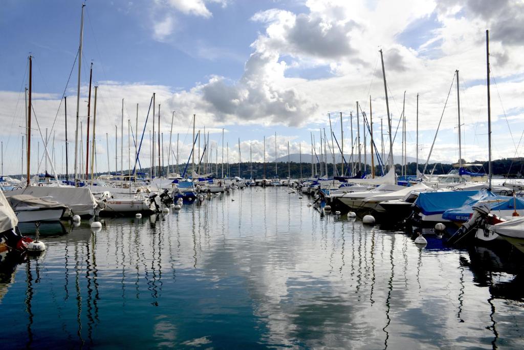 The New Midi - Resim 6