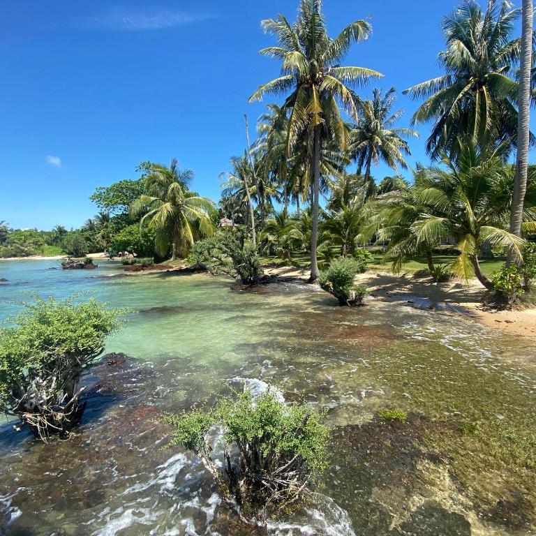 Koh Mak White Sand Beach - 10