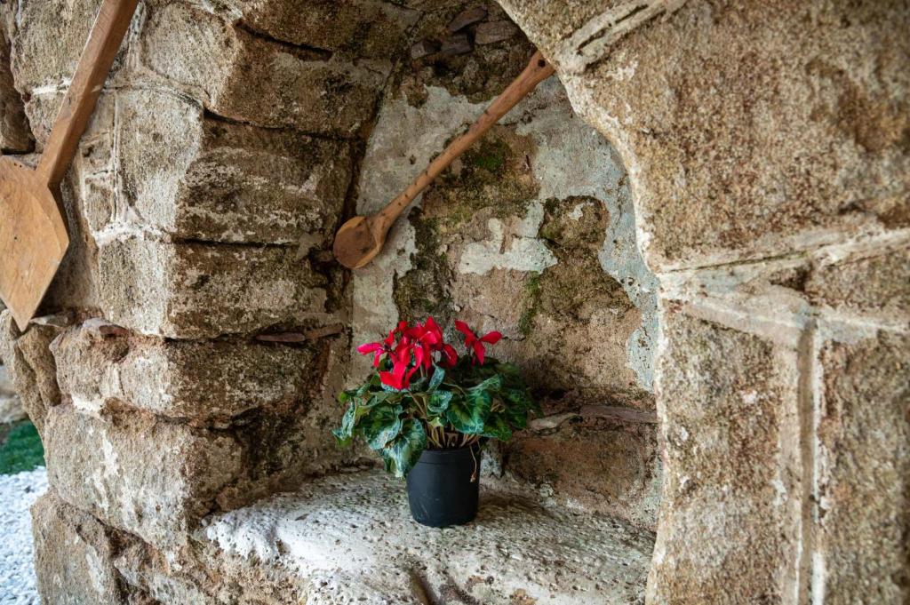 Fotografia z galérie ubytovania Βίλα Αρμονία Ορεινή Κορινθία v destinácii Krionérion