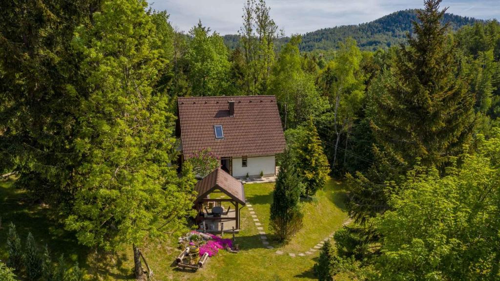 代爾尼采的住宿－Holiday home in Delnice - Gorski Kotar 43959，树林中房屋的空中景观