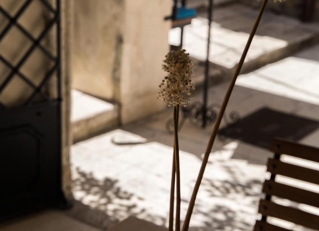 Slavija Culture Heritage Hotel - Resim 33