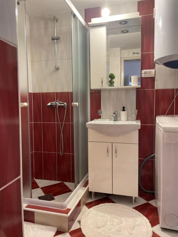 a bathroom with a shower and a sink and a mirror at Cozy Little House Kotor in Kotor