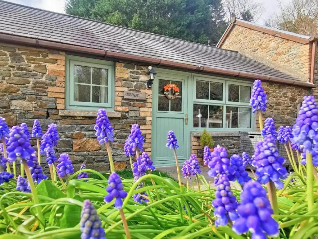 un cottage avec des fleurs violettes en face de lui dans l'établissement Y Beudy, à Llannon