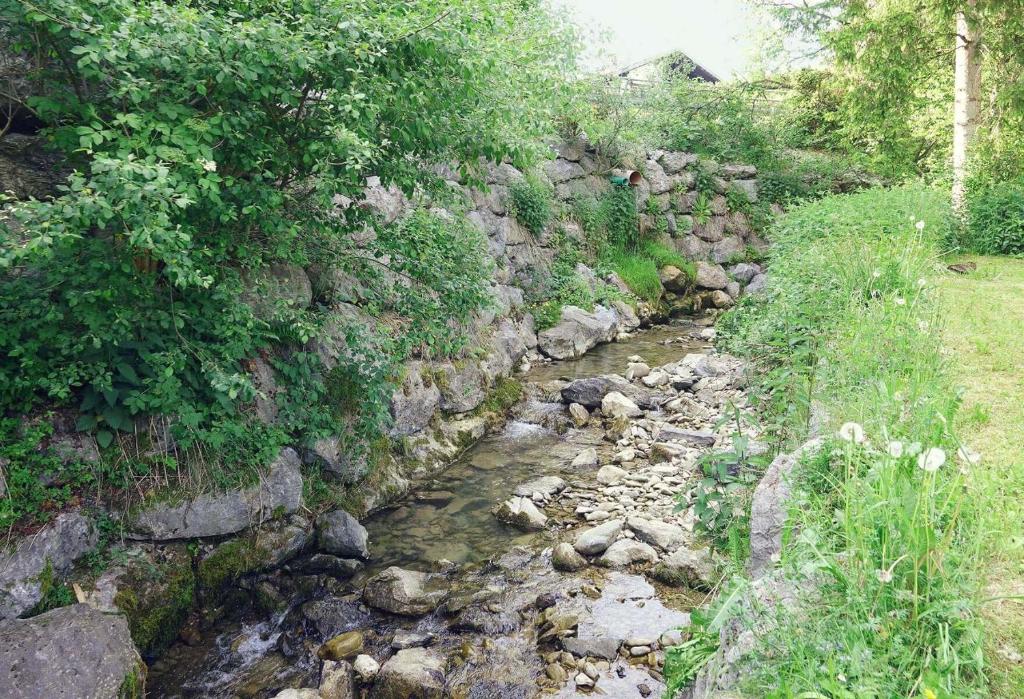 Příroda nedaleko apartmánu