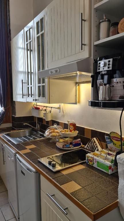 Kuchyň nebo kuchyňský kout v ubytování La Loge Du Vieux Lyon
