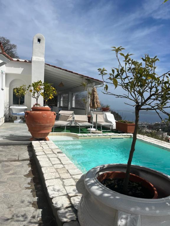 Bazén v ubytování Relais Villa Ettore nebo v jeho okolí