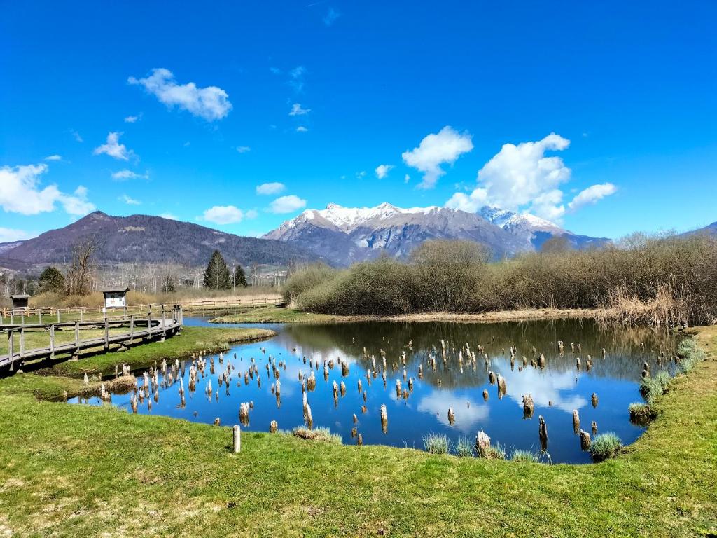 un río con cisnes y montañas en el fondo en Foresteria Miramonti affittacamere, en Fiavè
