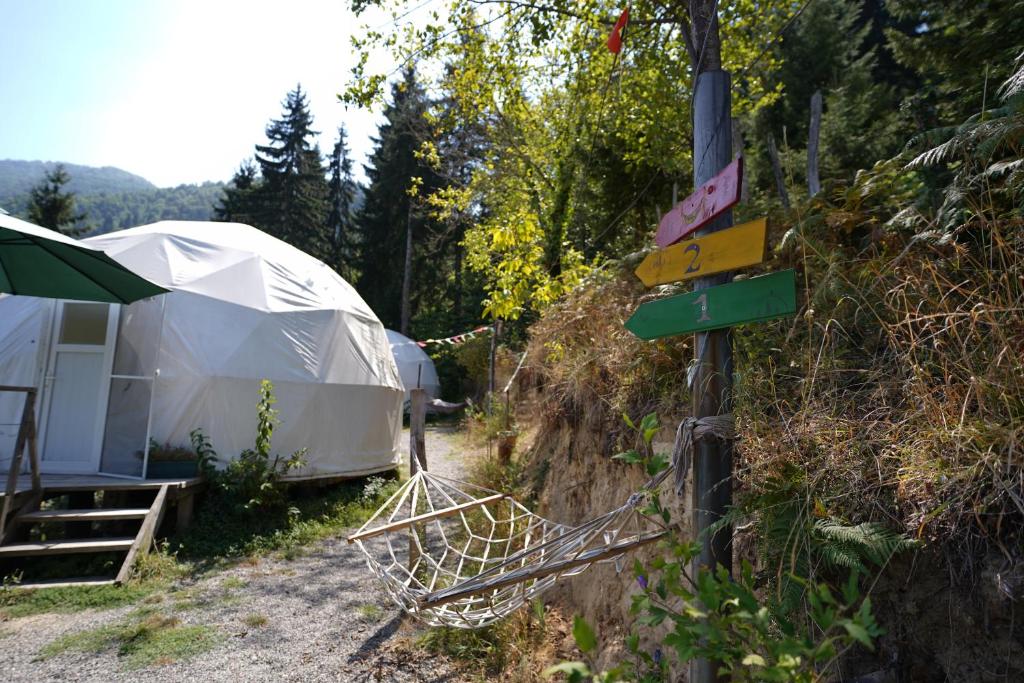Příroda nedaleko luxury tent