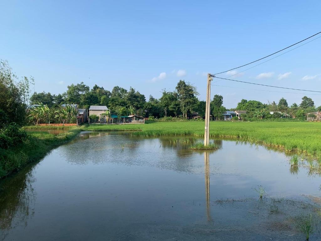 的住宿－Nhà nghỉ Bình An，水中一根杆被淹没的田野