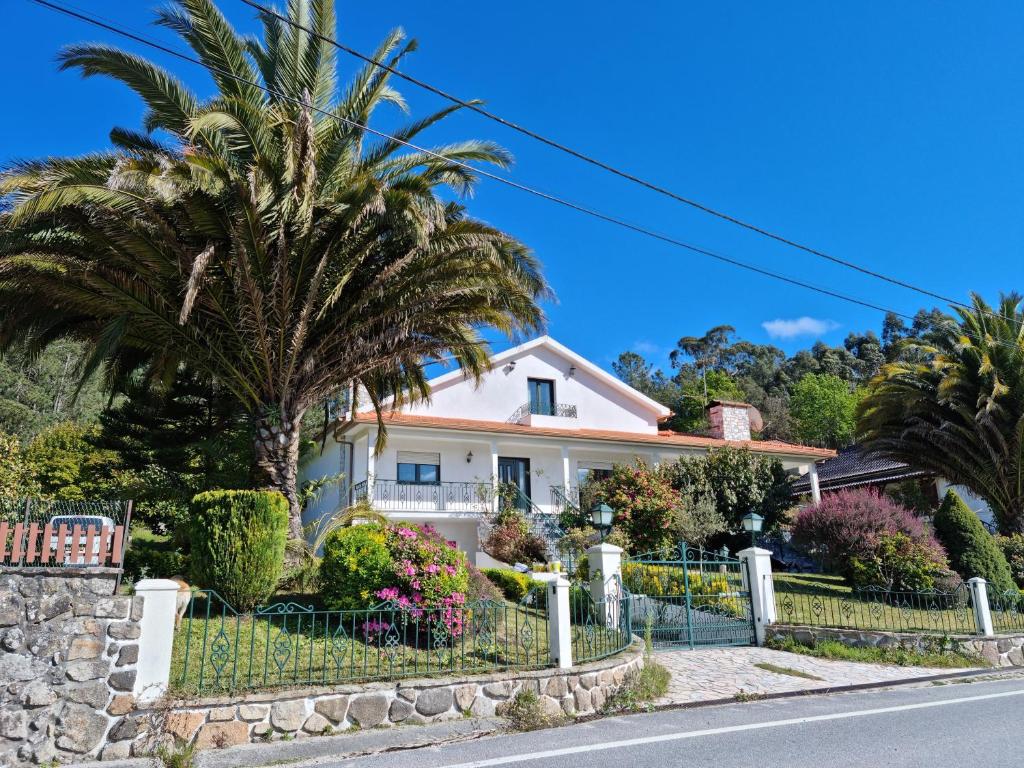 una palmera frente a una casa en VillaVitoria, en Paredes de Coura