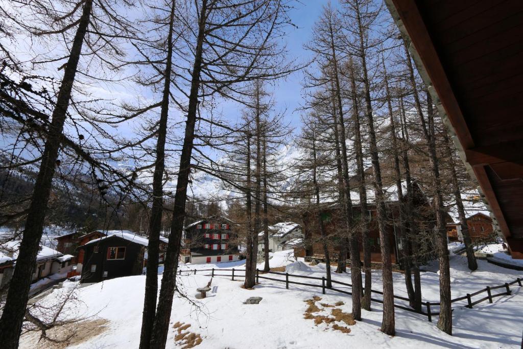 サースフェーにあるChalet La Sapinièreの木々や建物のある雪の庭の景色