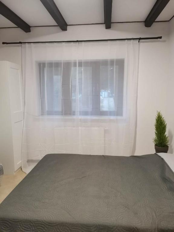 Urocze studia w Łomiankach, 1- z sauną i tarasem, 2- z kominkiem, 3- ekonomiczne, 7km metro Młociny Warszawa - Estudio
